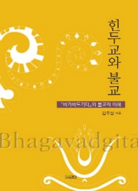 힌두교와 불교 : 바가바드기타의 불교적 이해